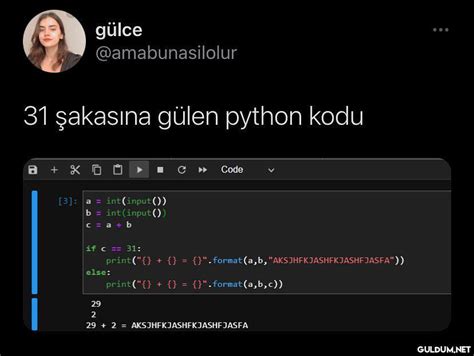 python 3 kodları